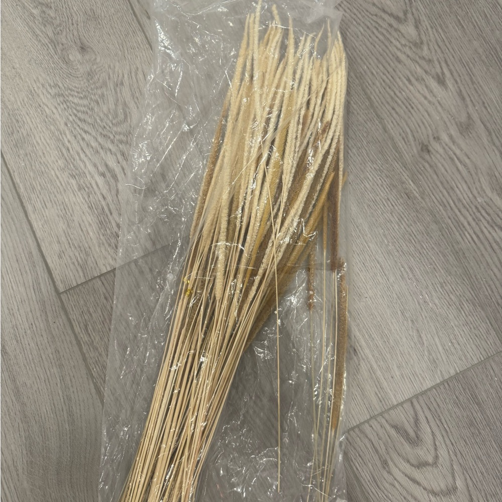 60 Dried Reed Grass - Picture 3 of 3